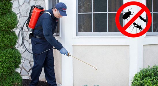Odunpazarı Fare İlaçlama böcek ilaçlama ve haşere kontrolü — ilaclama-tr.com